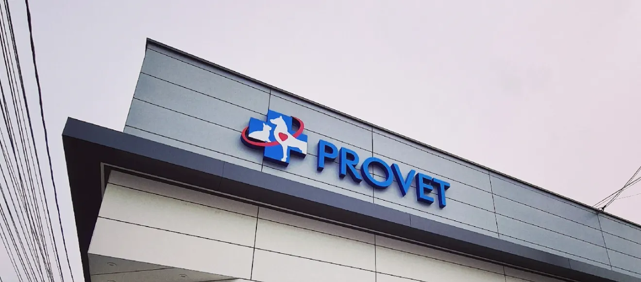 PROVET - Farmacie | Pet-shop | Cabinet | Cosmetică Veterinară — fotografie de copertă