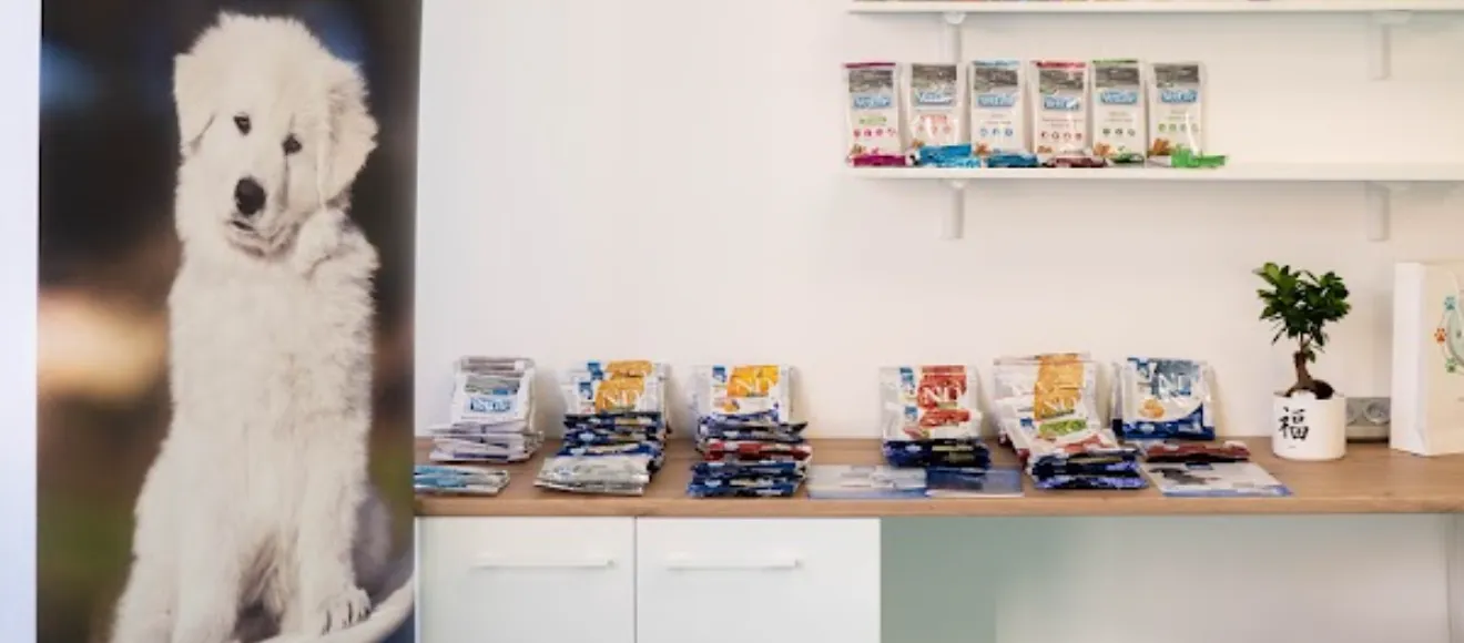 VeterinarulTau.ro — fotografie de copertă