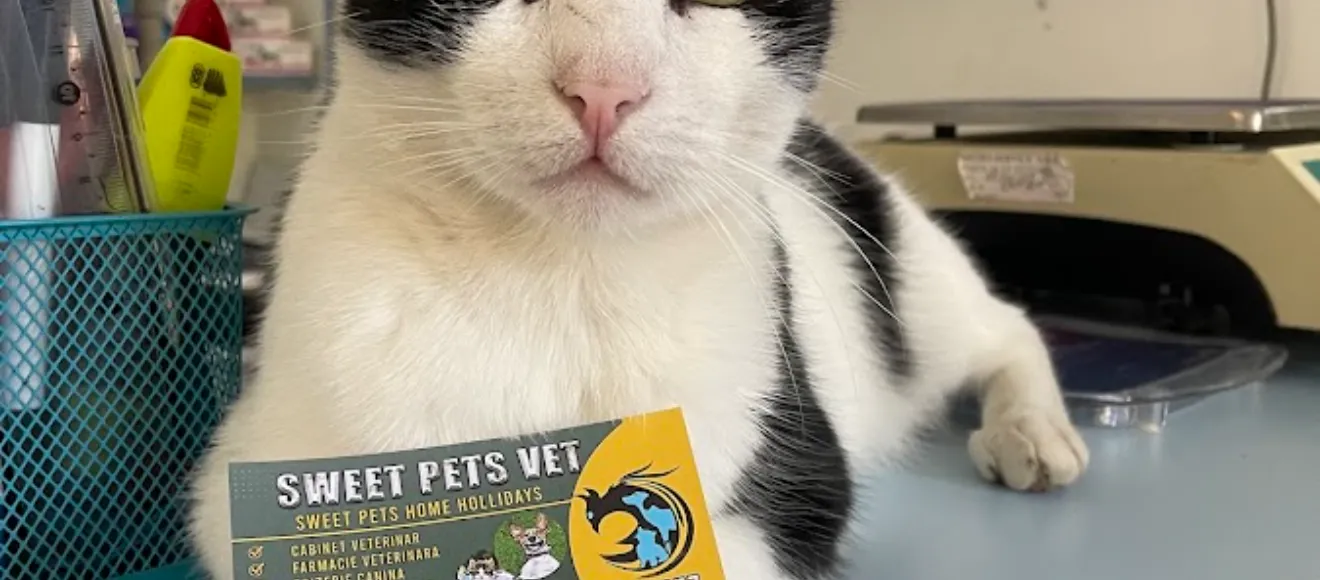Cabinet veterinar Sweet Pet Vets — fotografie de copertă
