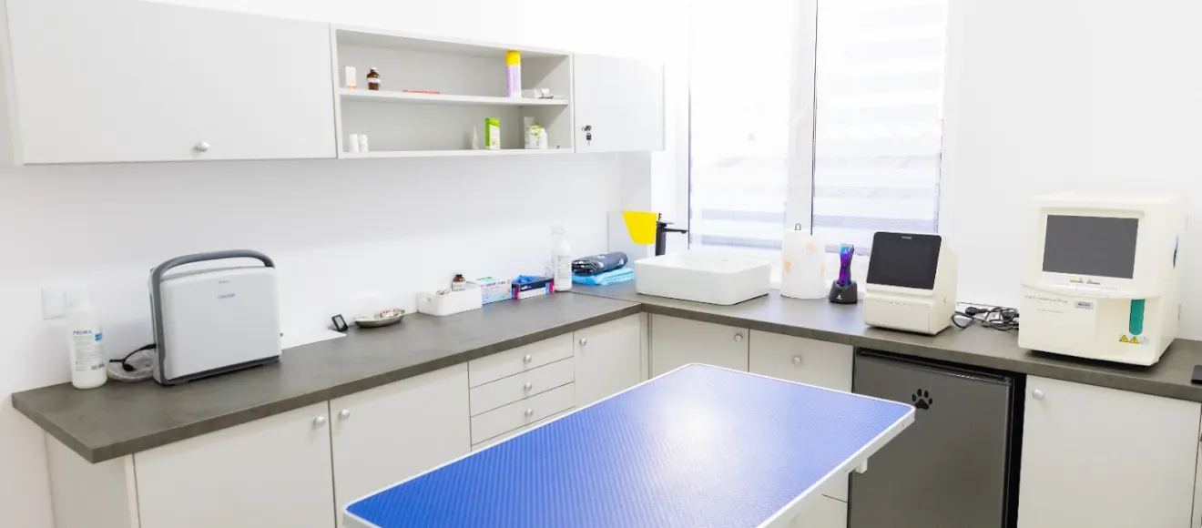 Cabinet Veterinar Vetvibe Dr.Mel — fotografie de copertă