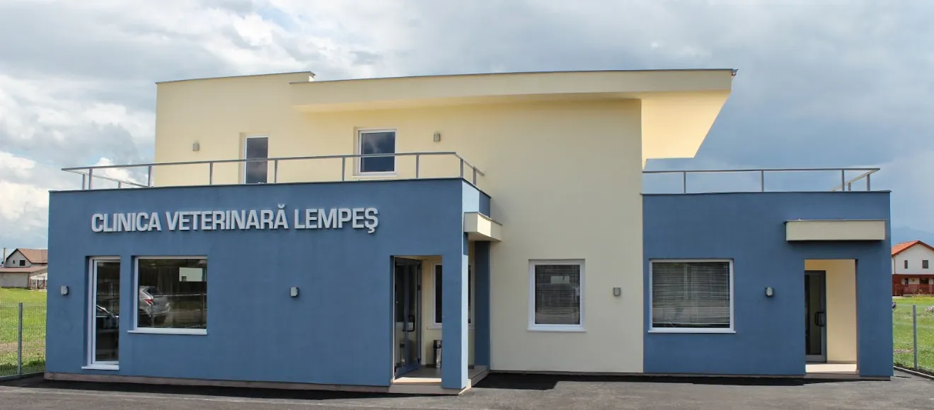 PartnerVet Brasov | Lempes — fotografie de copertă