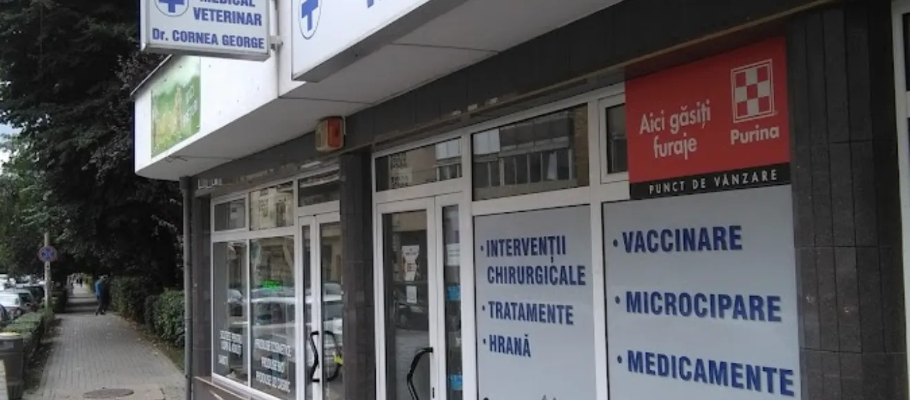 cornea clinic vet — fotografie de copertă