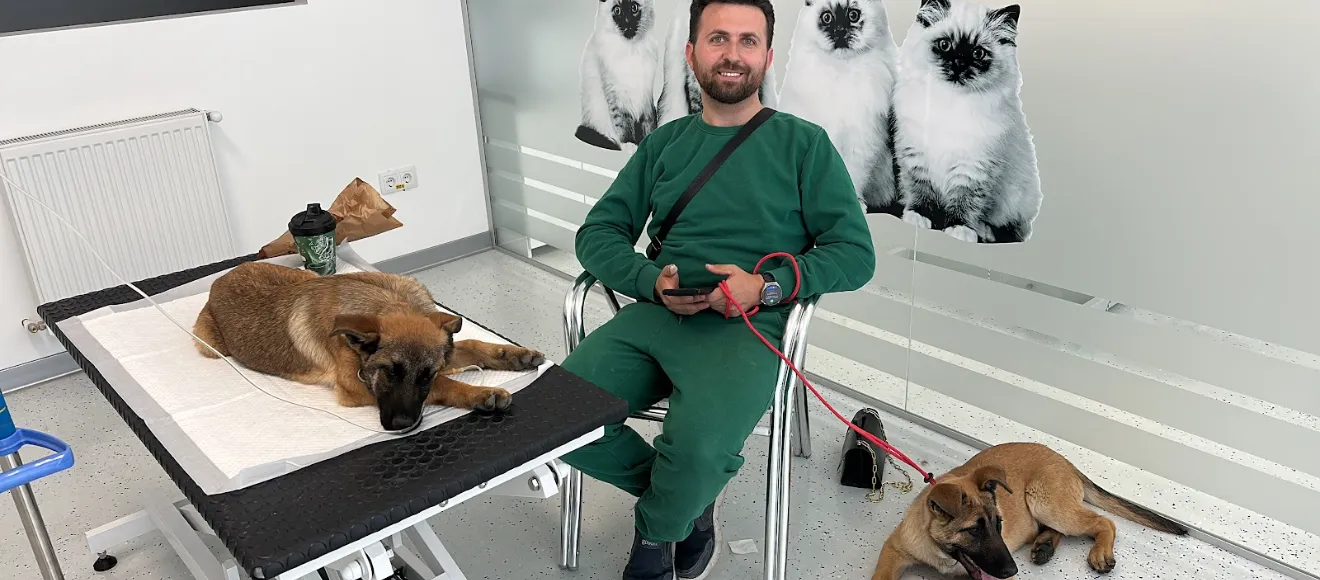 Cabinet Veterinar Bistrița Vet Life — fotografie de copertă