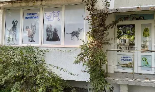Fotografia de copertă a listării