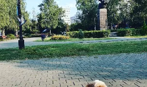 Fotografia de copertă a listării