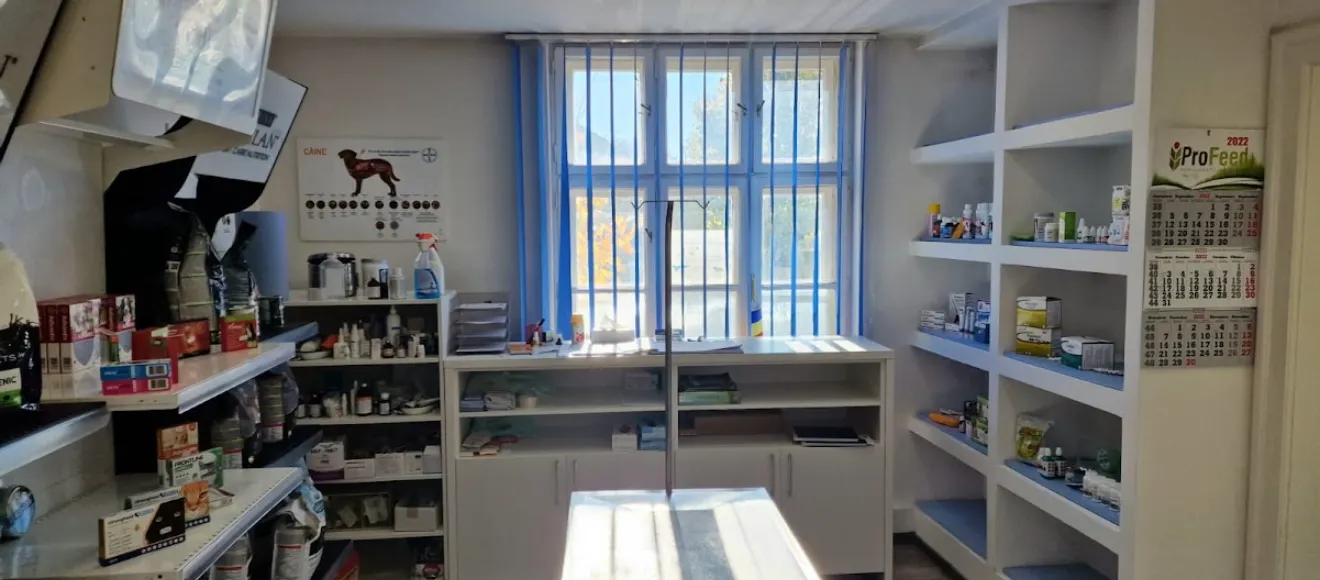 Creative Vet Zone — fotografie de copertă