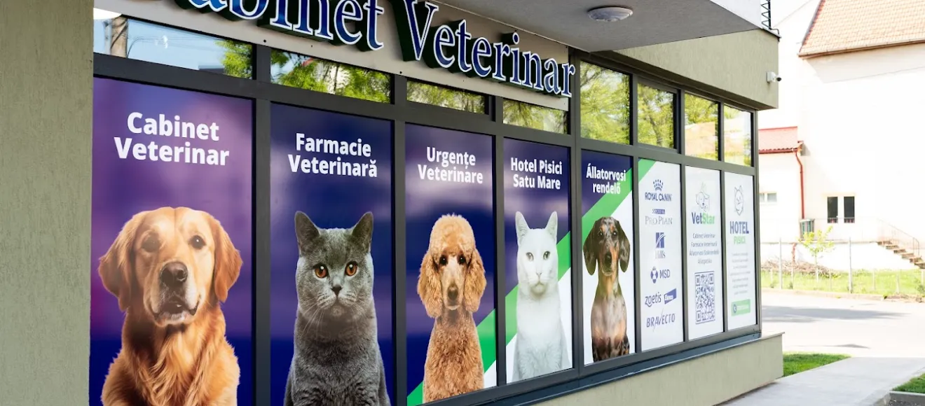 VetStar - Cabinet Veterinar — fotografie de copertă