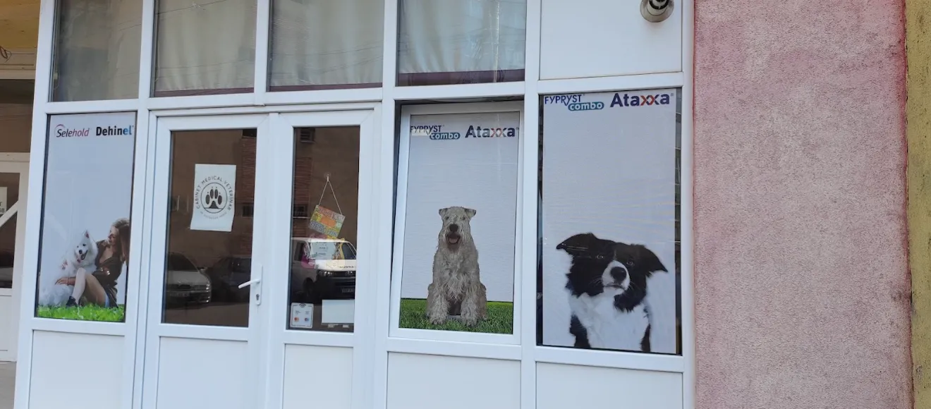 Cabinet veterinar Dr. Finteosan Sorin — fotografie de copertă