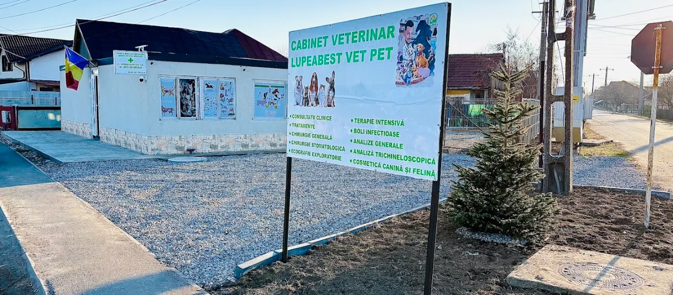 Cabinet veterinar LupeaBestVetPet — fotografie de copertă