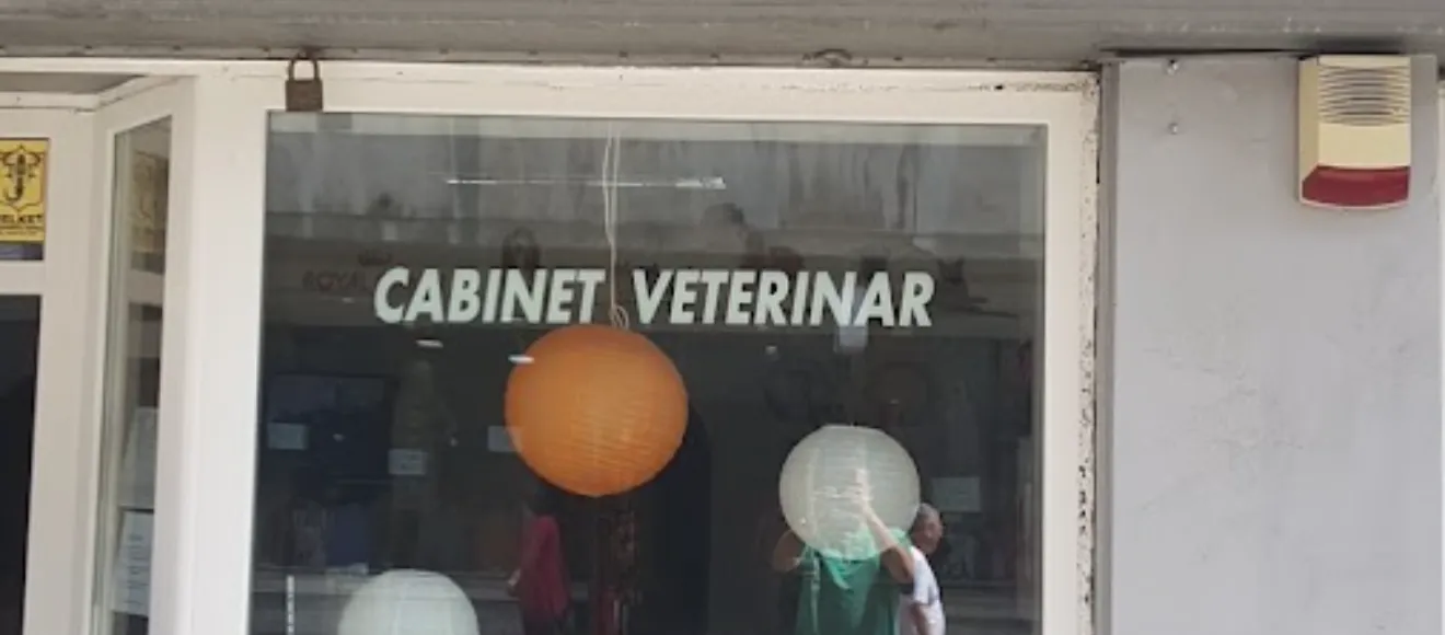 VETLIFE POINT SRL — fotografie de copertă