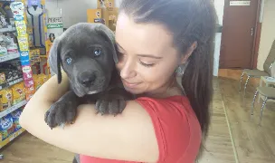 Fotografia de copertă a listării