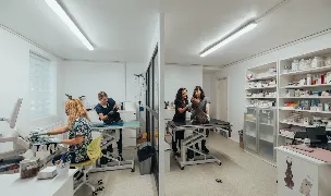 Fotografia de copertă a listării