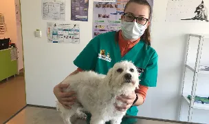 Fotografia de copertă a listării