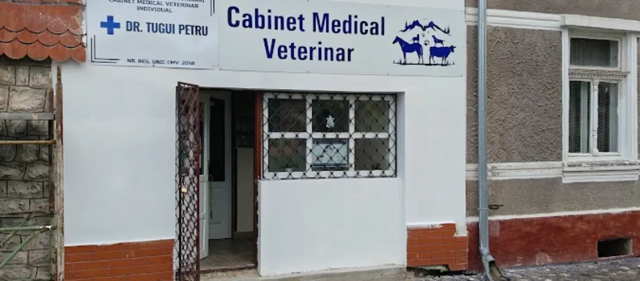 Veterinar Dumbraveni, Judetul SIBIU — fotografie de copertă