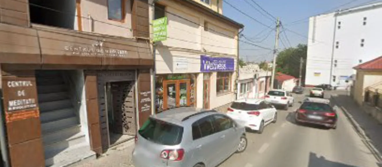 AlyVale CrazyVet — fotografie de copertă