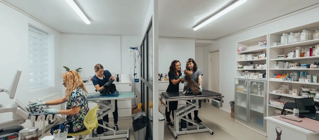 Veterinary offices Propetlife — fotografie de copertă