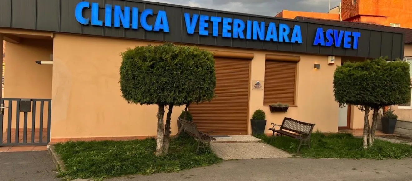 Asvet Shop — fotografie de copertă