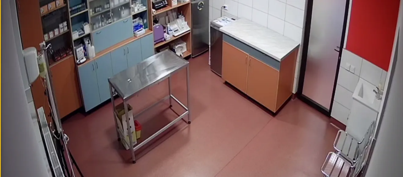 Cabinet Veterinar Brasov Sc.T&T Vet Srl. — fotografie de copertă