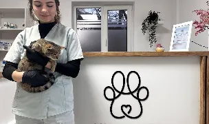 Akama Vet — Cabinete Veterinare, Municipiul Brașov, Brașov