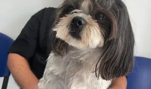 AlohaVet — Cabinete Veterinare, Municipiul Constanța, Constanța