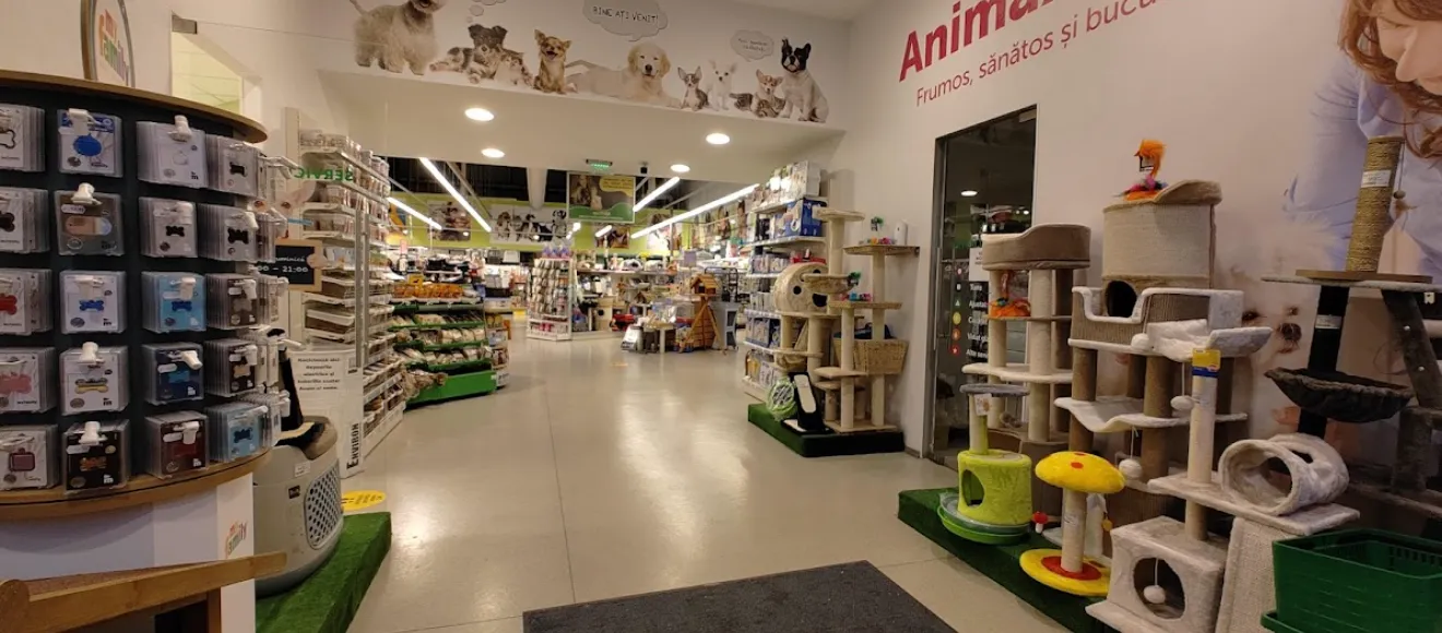 Animax Coresi XXL — fotografie de copertă