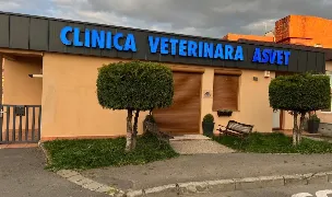Asvet Shop — Cabinete Veterinare, Municipiul Brașov, Brașov
