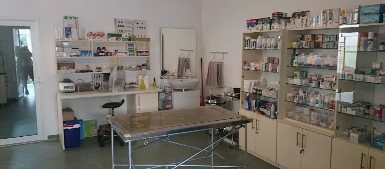 Veterinaria - Cabinet veterinar Brașov — fotografie de copertă