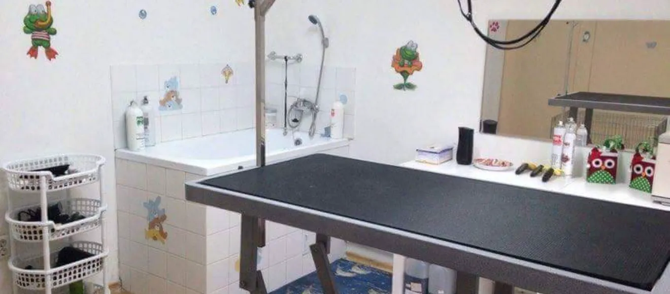 Doravet4pet — fotografie de copertă