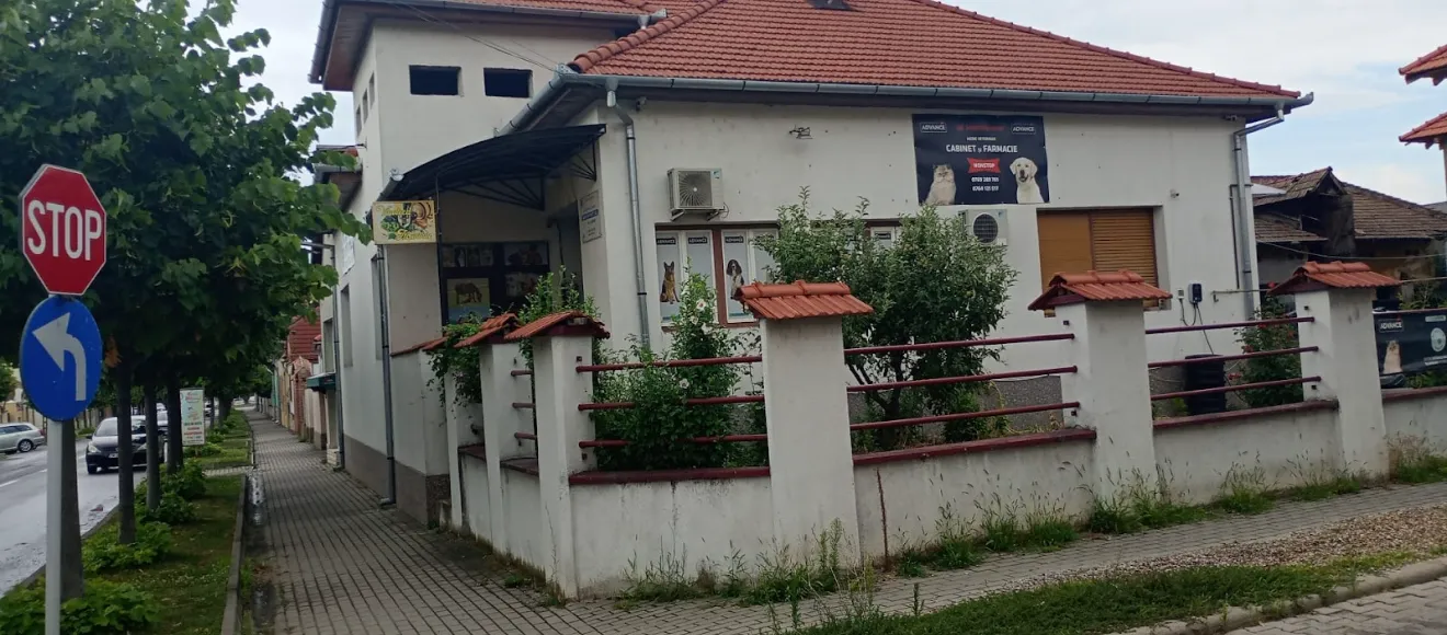 CAB & PHARM MUNTHIU — fotografie de copertă