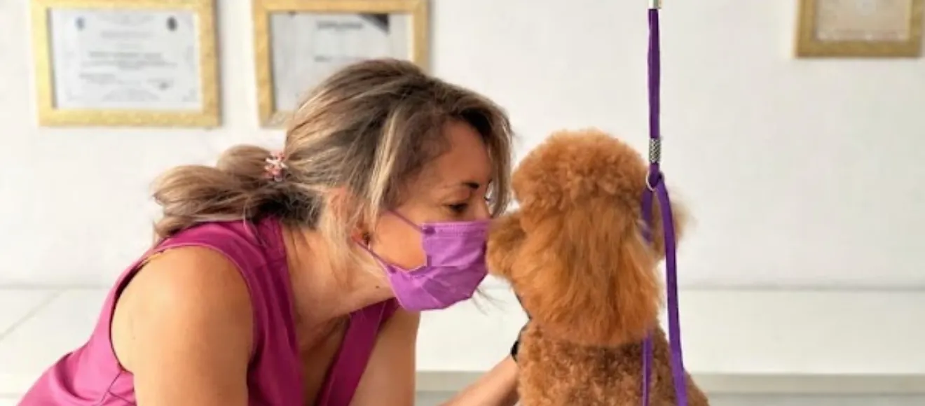 Cabinet veterinar Sc Agro Animal Vet . SRL — fotografie de copertă