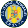 Logo DSVSA Dej