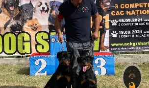 Black Trovants Kennel — Dog Breeders, România