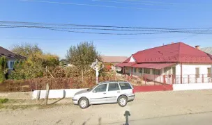 Cabinet Individual Veterinary Dr. Todorean Gabriel — Cabinete Veterinare, Bistrița-Năsăud