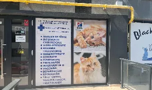 Cabinet veterinar Black Sea Vet — Spitale Veterinare, Municipiul Constanța, Constanța