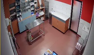 Cabinet Veterinar Brasov Sc.T&T Vet Srl. — Cabinete Veterinare, Municipiul Brașov, Brașov