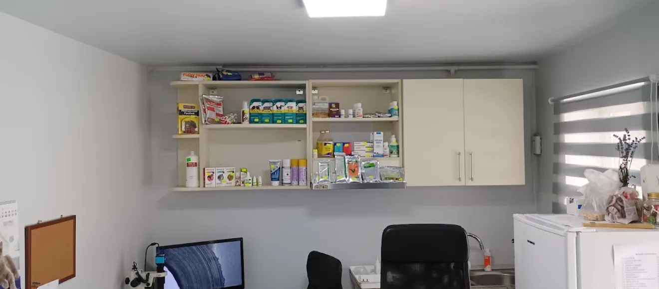 Cabinet Veterinar CMV Albu Ioan — fotografie de copertă