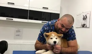 Cabinet veterinar Golden Valley Sibiu — Cabinete Veterinare, Municipiul Sibiu, Sibiu