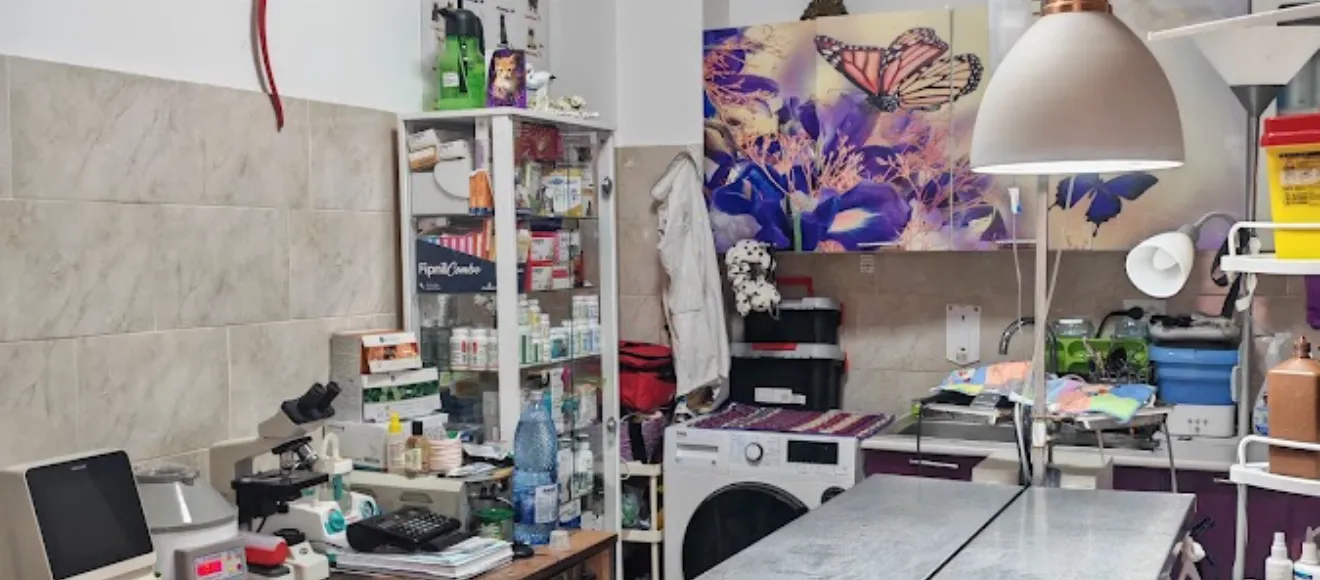 Cabinet Veterinar și Pensiune Canină/felină "Santa Monica" — fotografie de copertă