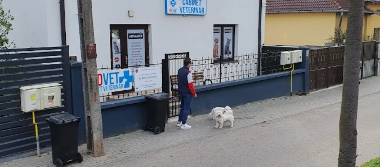 Canis Vet — fotografie de copertă