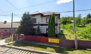 Canisa de Bucșoaia Vom Drelciuc — Crescători Câini, Suceava