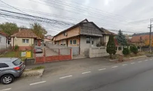 Canisa Maier-canisa de brac german cu par scurt — Crescători Câini, Baciu, Cluj