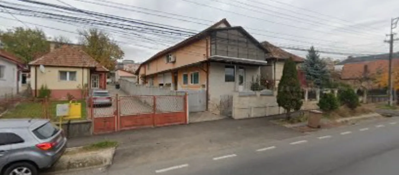 Canisa Maier-canisa de brac german cu par scurt — fotografie de copertă
