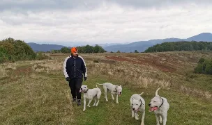 CANISA SIMEDREA — Crescători Câini, 1 Decembrie, Ilfov