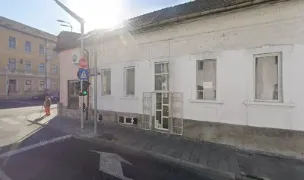 Canisha Frizerie Canina — Salon Câini & Pisici, Târgu Mureș, Mureș