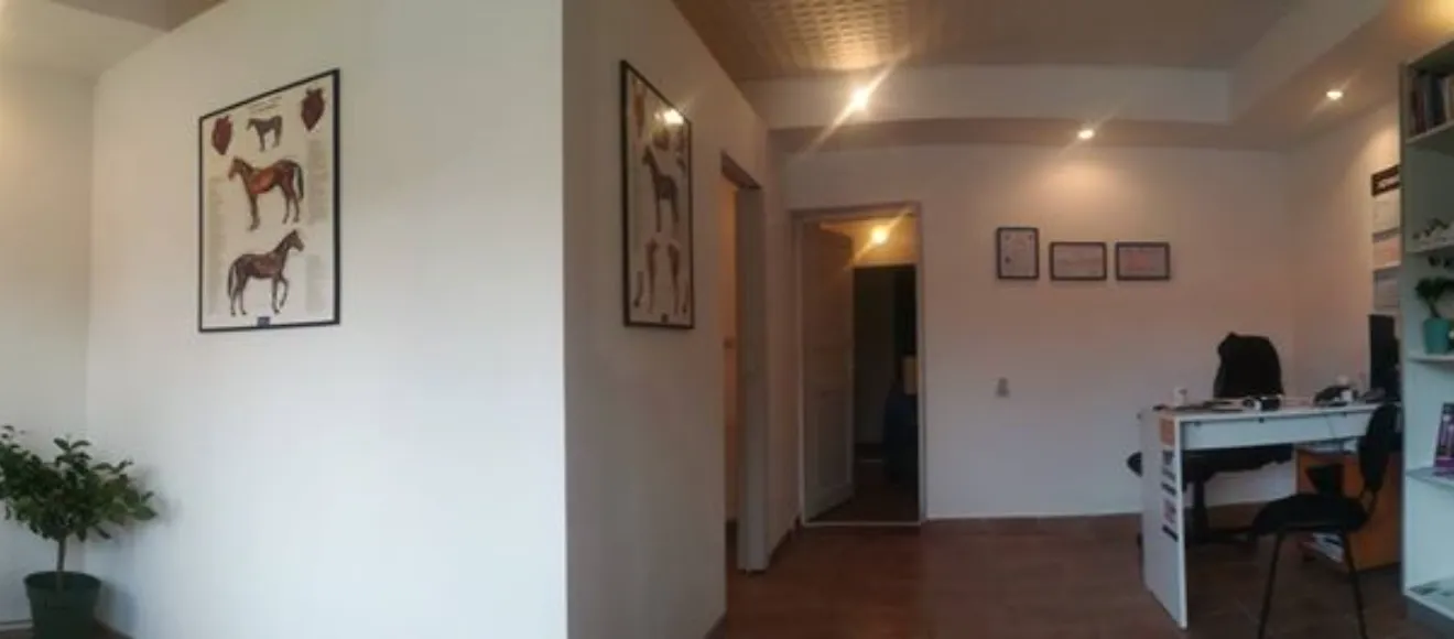 Honey Hill Veterinary Clinic — fotografie de copertă