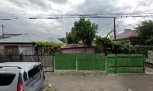 Chivas Com — Spitale Veterinare, Buzău