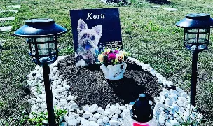 Cimitirul Animalelor de Companie Brașov — Pet Funeral Services, România