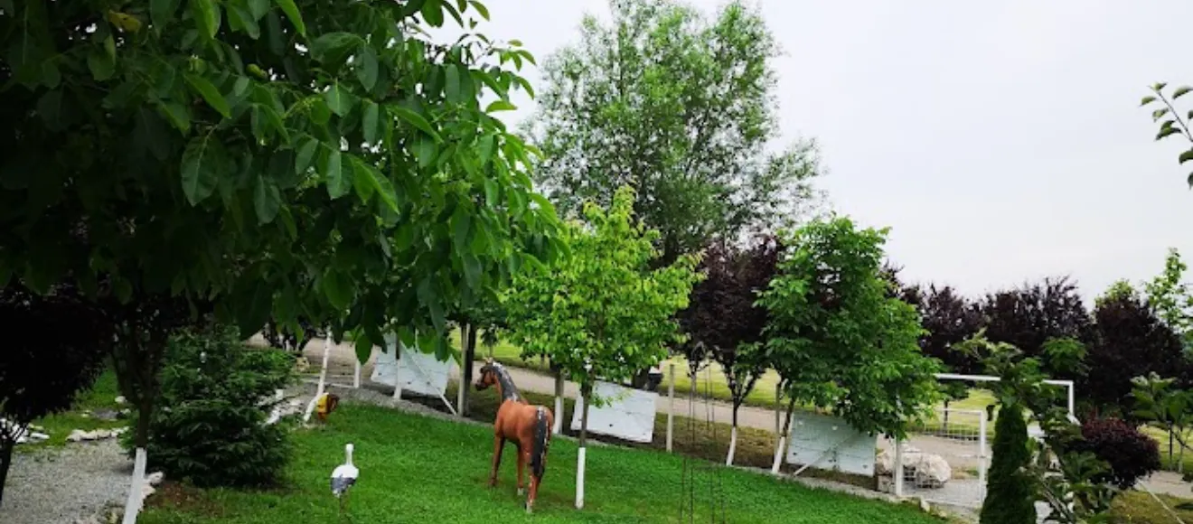 Cimitirul Animalelor Ramas Bun — fotografie de copertă