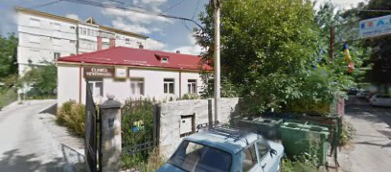 Clinica veterinara — fotografie de copertă