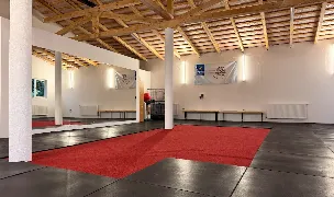 CPR K9 Gym — Dog Adoption, Cluj